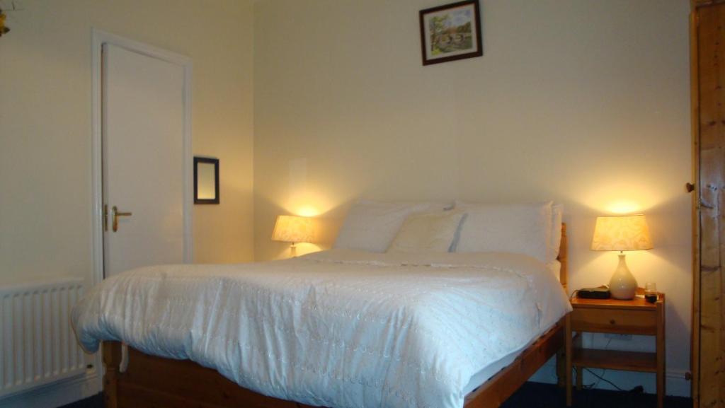 The Blue Door Bed & Breakfastウェクスフォード エクステリア 写真